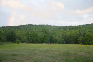 Looking towards the sugarbush over the fields from the house.